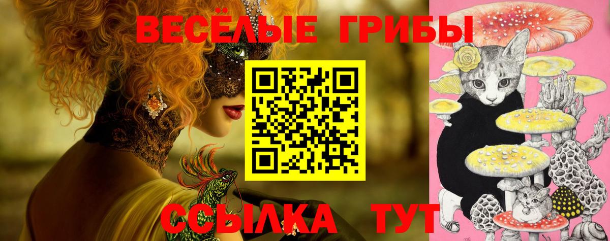 Псилоцибиновые грибы GOLDEN TEACHER  Псилоцибиновые грибы MAGIC MUSHROOMS  закладки  Вход с VPN  Спасск-Дальний 