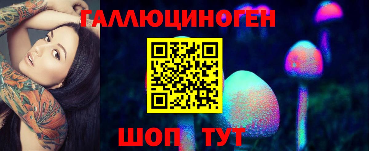 Псилоцибиновые грибы Cubensis Спасск-Дальний